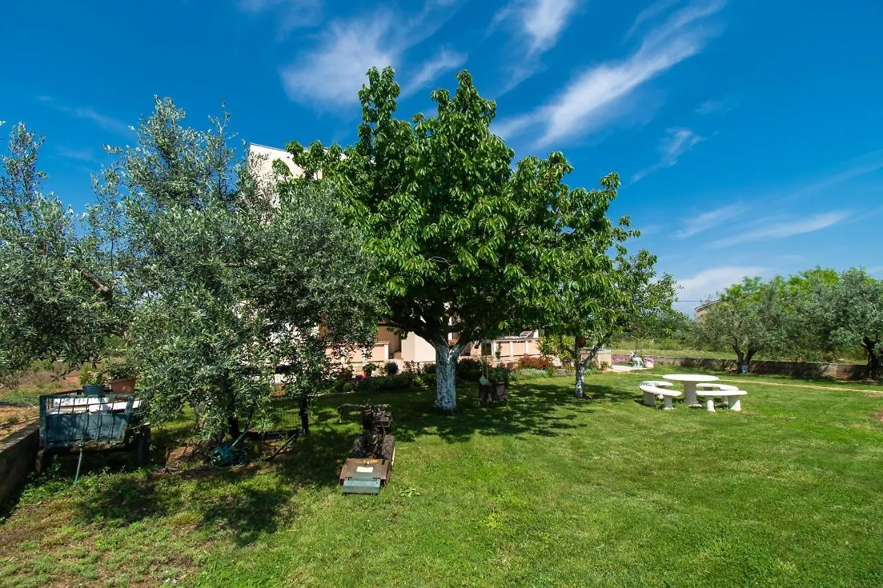 Apartments Stefa بريفلاكا كرواتيا
